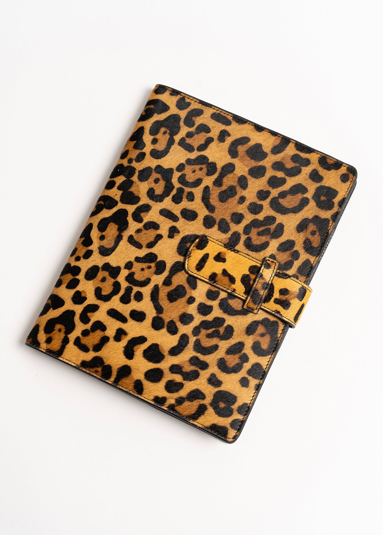 Cover Camelia in vero cavallino